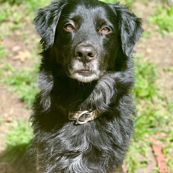 โBrettโ like a boy - Picture 7 of 7